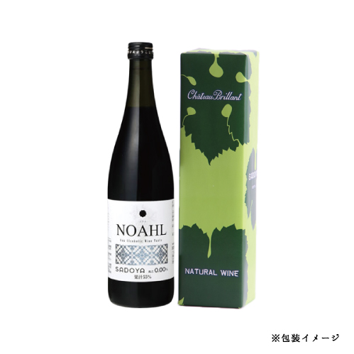 NOAHL-�m�A��-